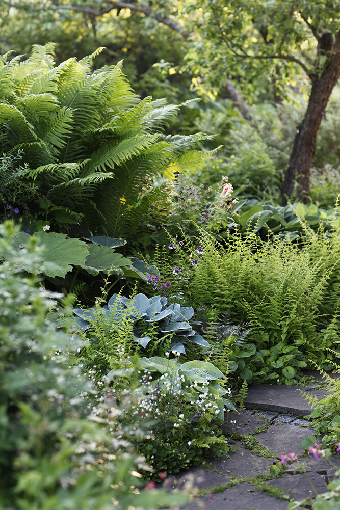 Вот такое я люблю!