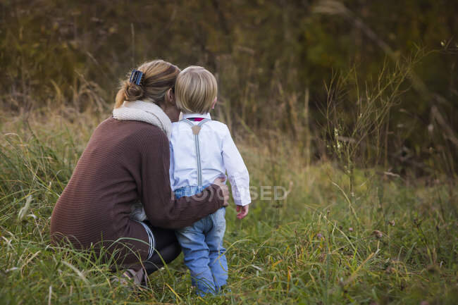 Яндекс картинки
