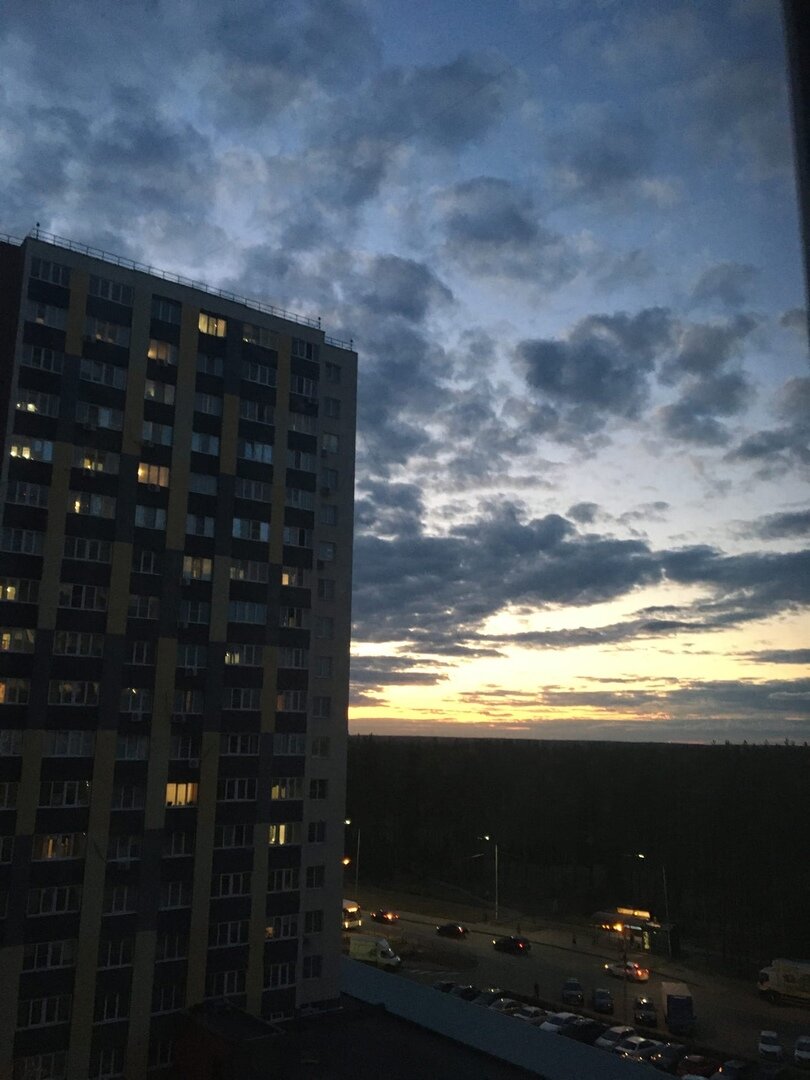 Вид из окна на лес и закат