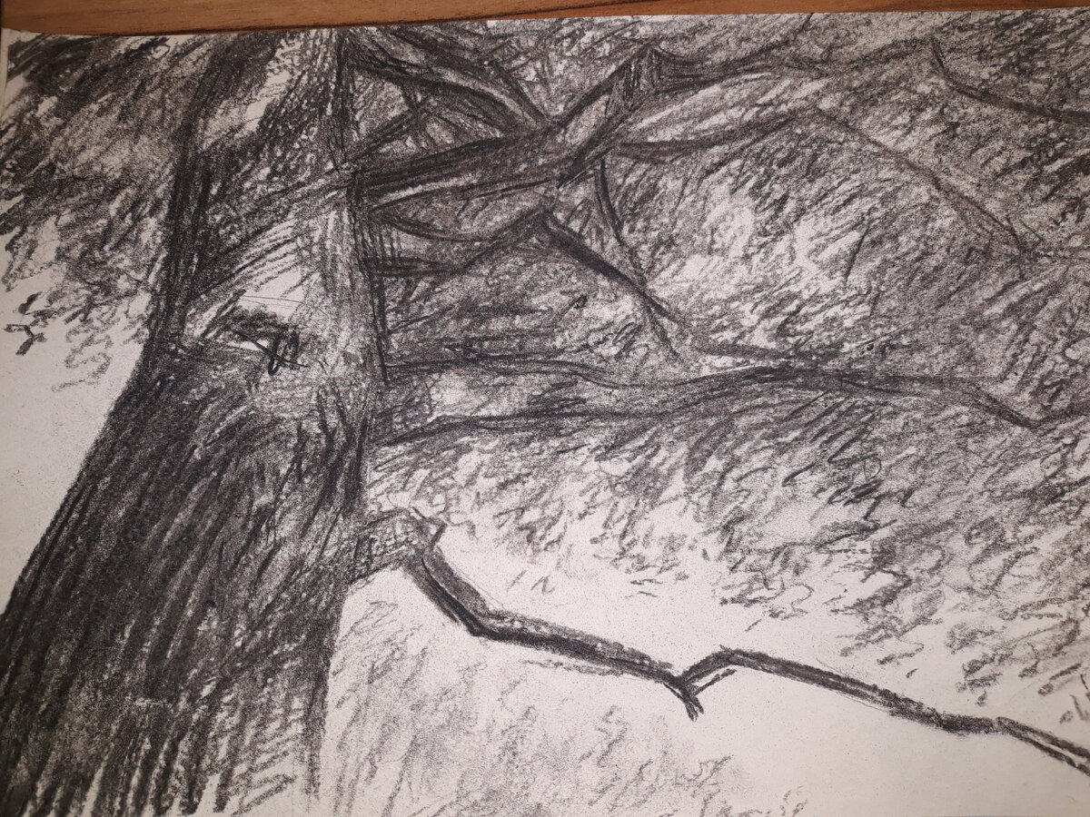 Работа дочери. Я готова потратиться на ее обучение. У нее талант