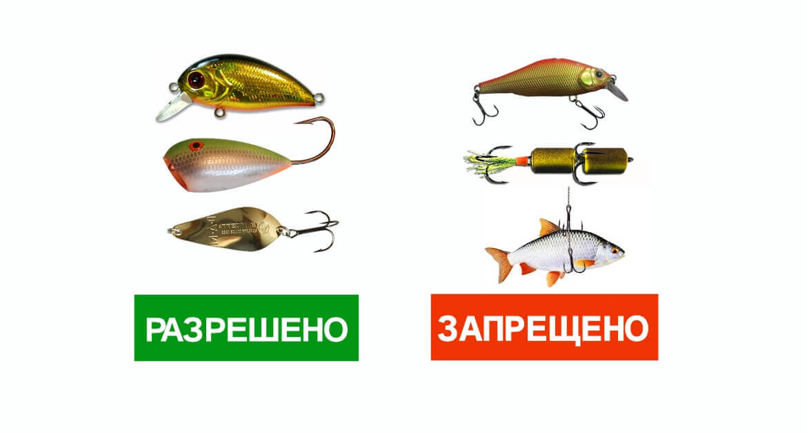 Запрещенные рыболовные снасти. Запрещённые снасти для ловли рыбы. Ловля рыбы запрещена. Запрещённые снасти для рыбалки в России. Почему нельзя рыбачить