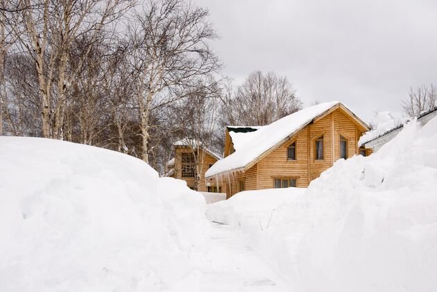 снегозадержание