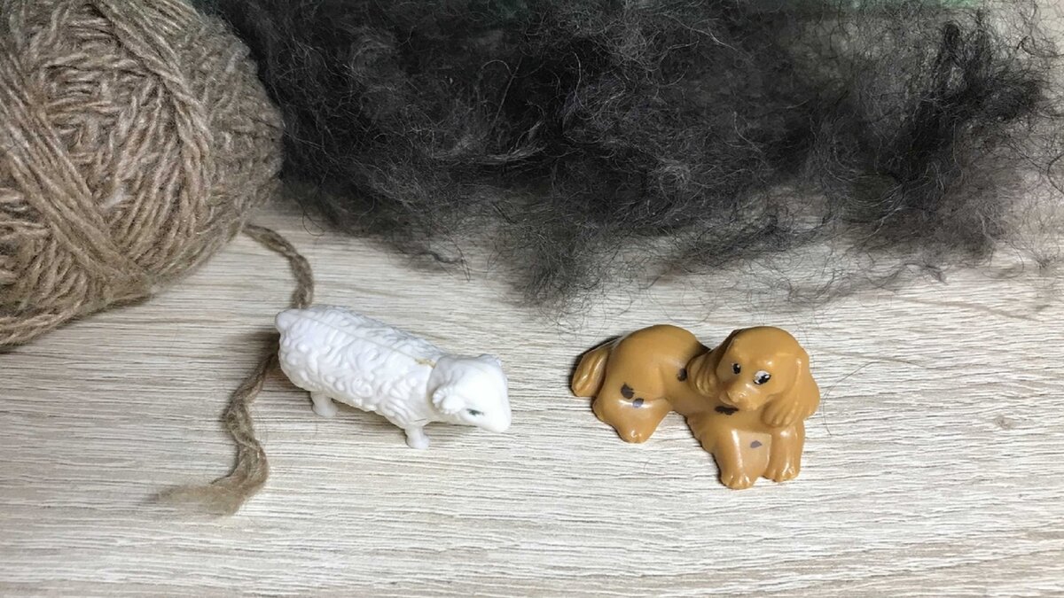 Собачья шерсть