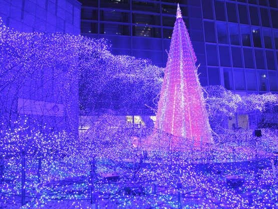 Взято из открытого источника