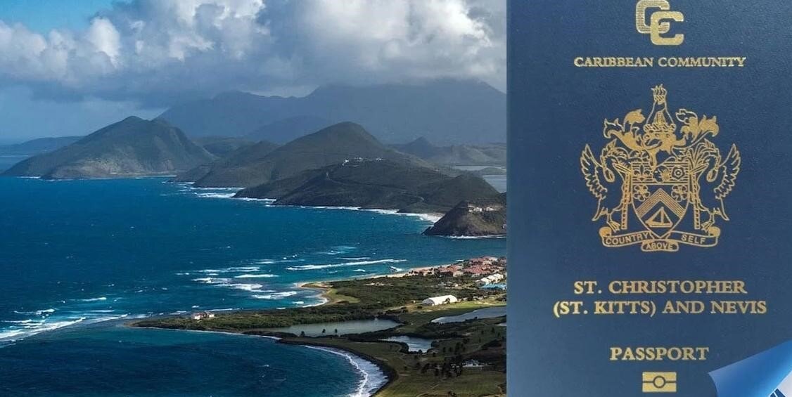 Фото взято из открытого источника