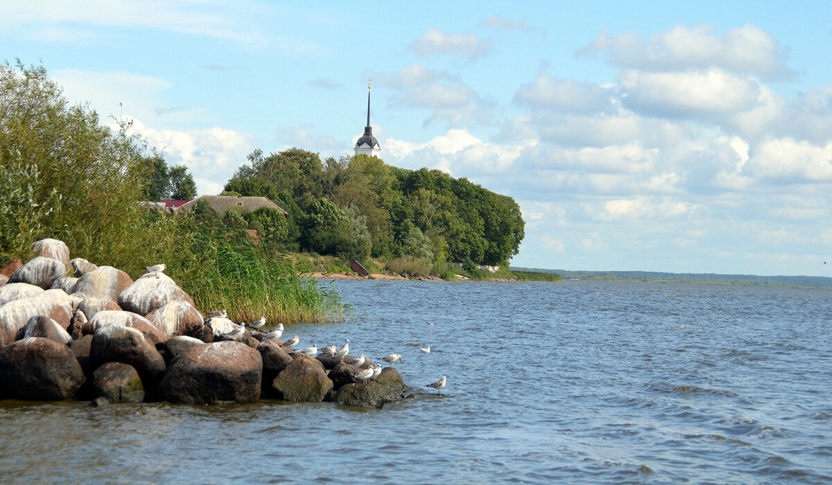 Чудо-старец, Ленин в ушанке и серая цапля | Алиса в городах | Дзен