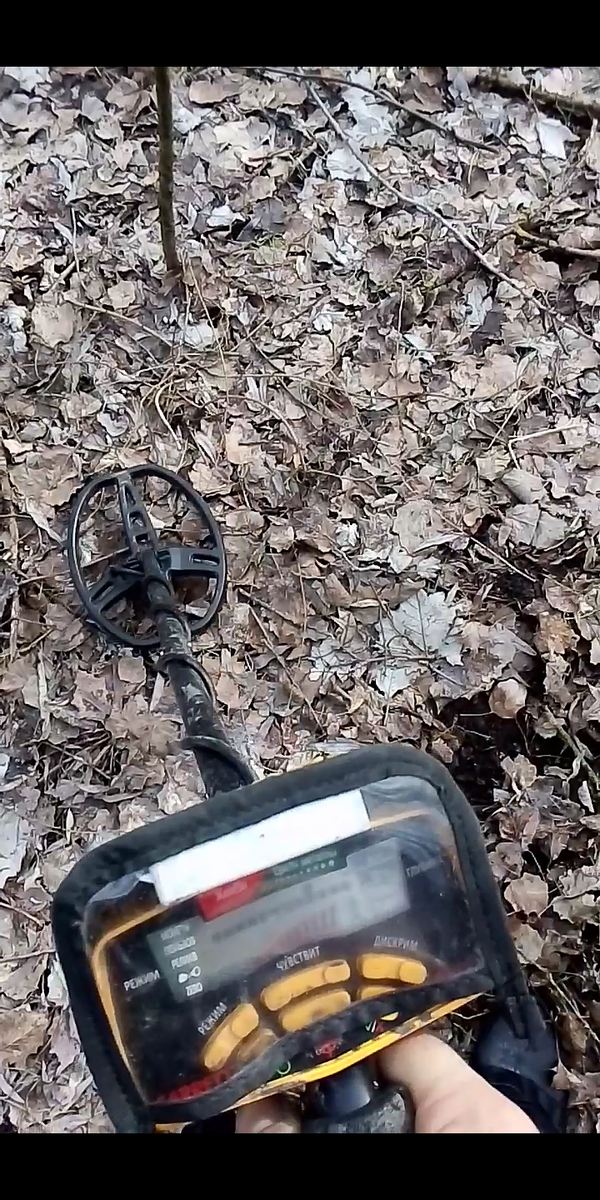 Мд garrett ace euro.