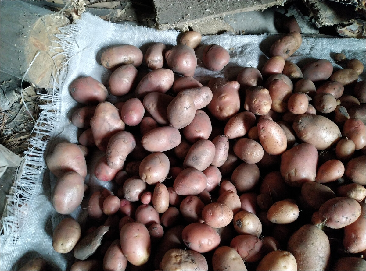 Ну красота же? Была...