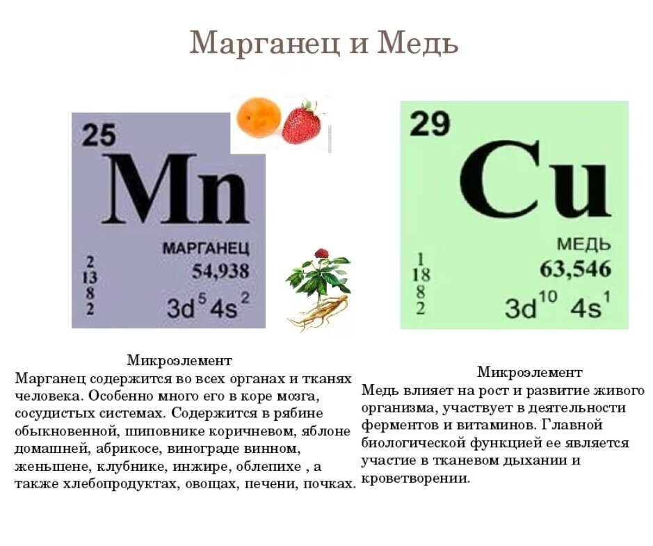 Какие микроэлементы содержатся в зале