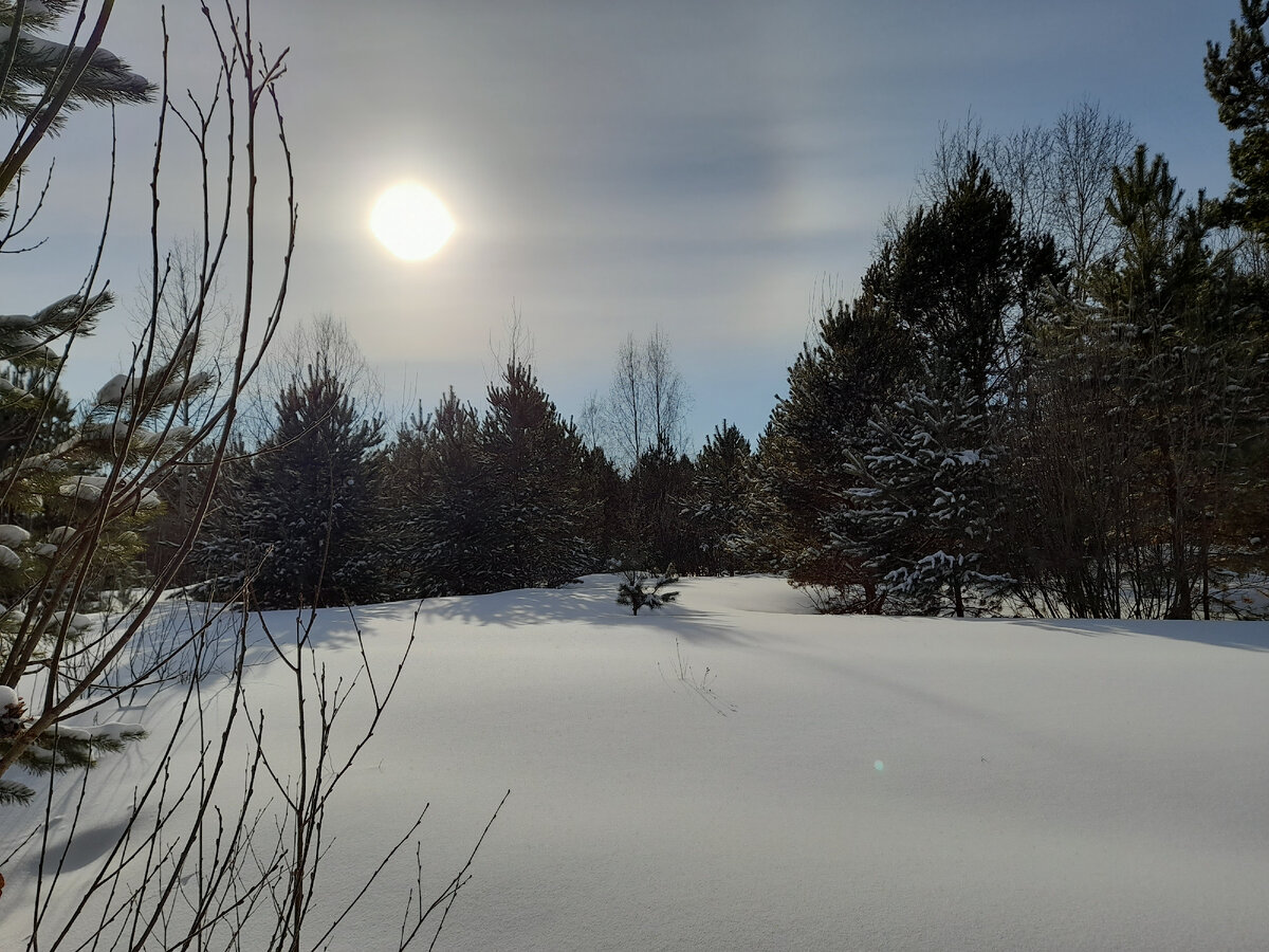 Зима. Тобольский район. Фото из личного архива.