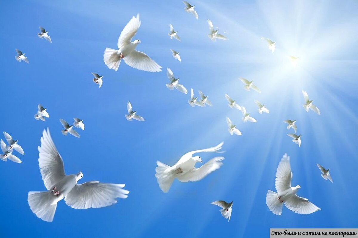 ГОЛуБи на фоне ГОЛуБой «СИНи» (небесной сферы). Источник картинки – https://clck.ru/em5MB 