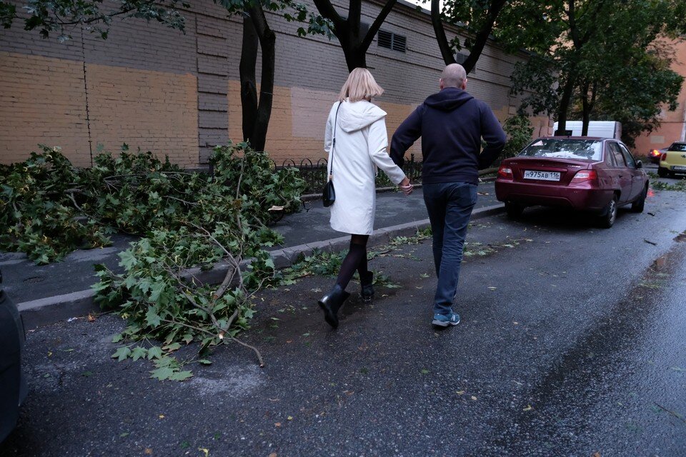     В Петербурге объявлен "желтый" уровень опасности из-за ветра Артем КИЛЬКИН (архив)