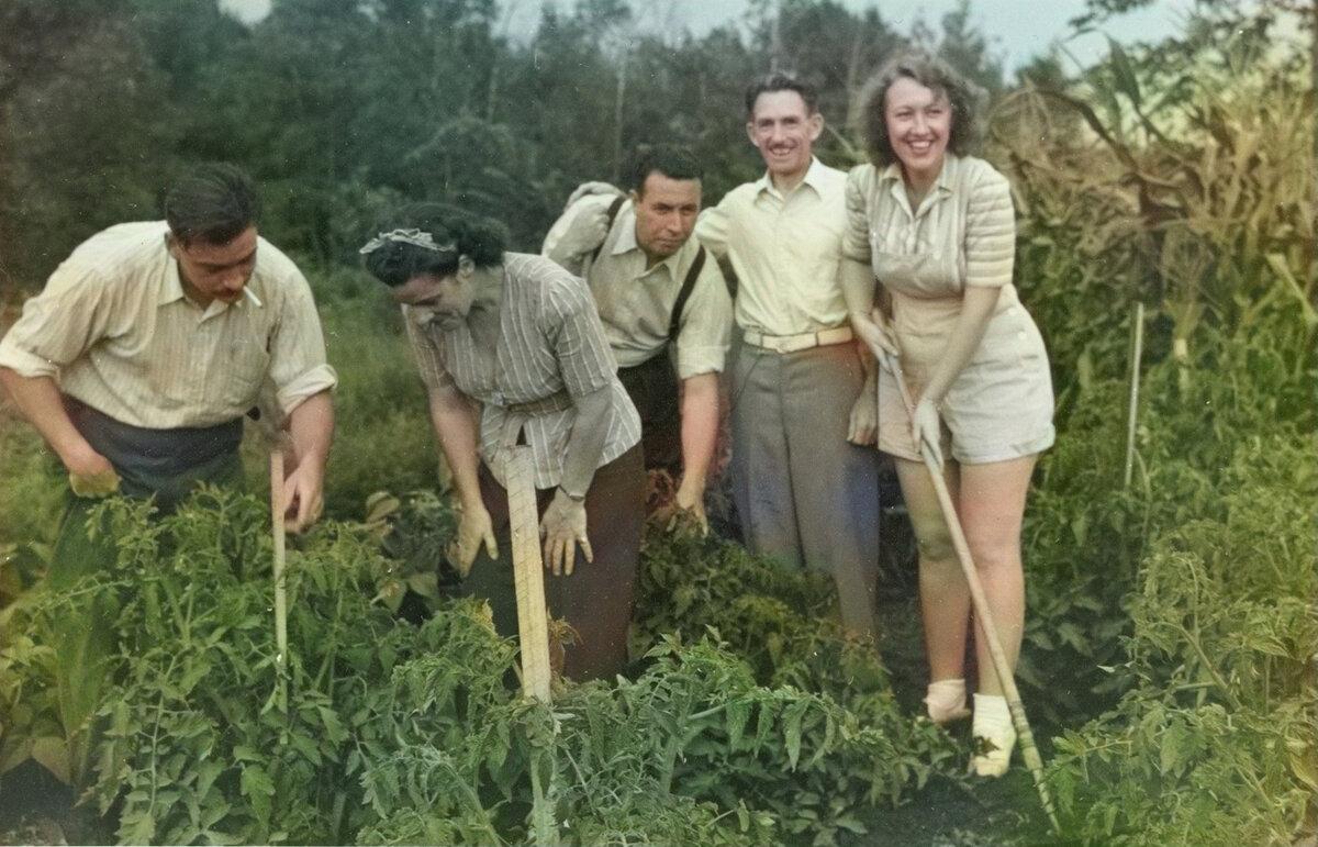 «Сады победы» в Канаде. Фотография с сайта thecanadianencyclopedia.ca