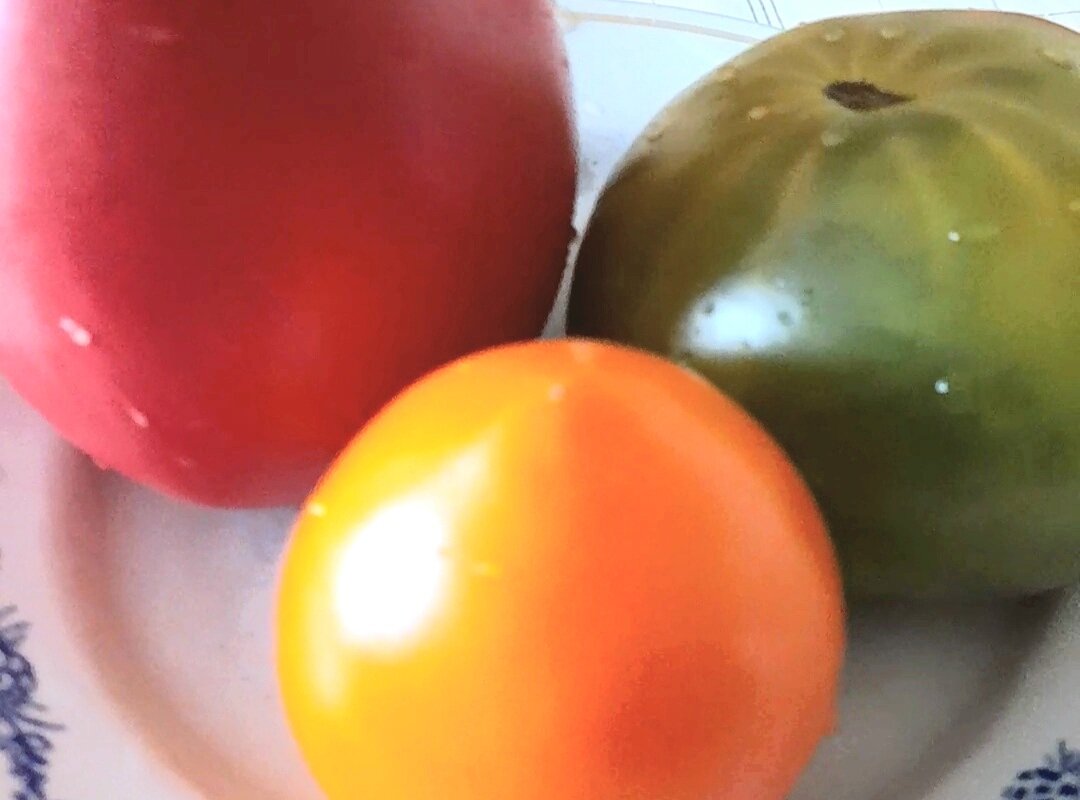 Помидоры бывают разные - зелёные,  жёлтые, красные. 
