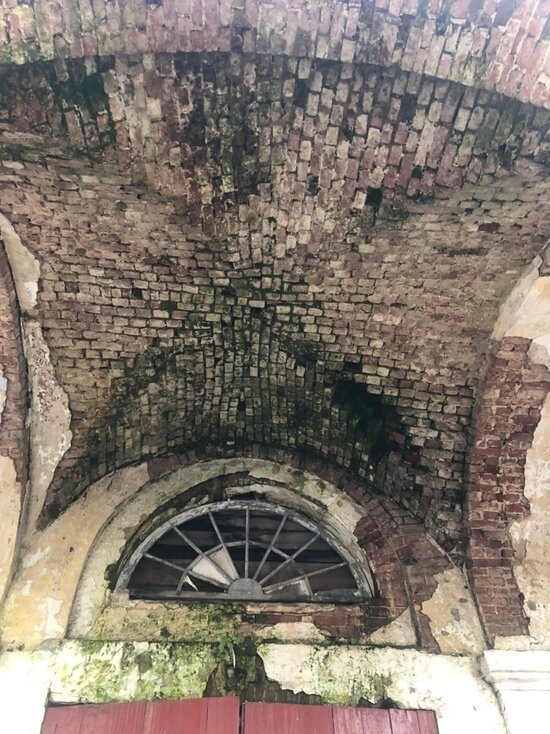   Екатерина Царева