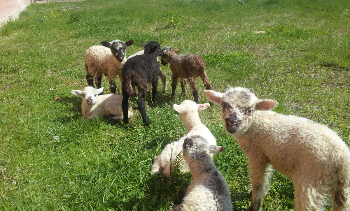 Создай свое предложение - выделись из толпы