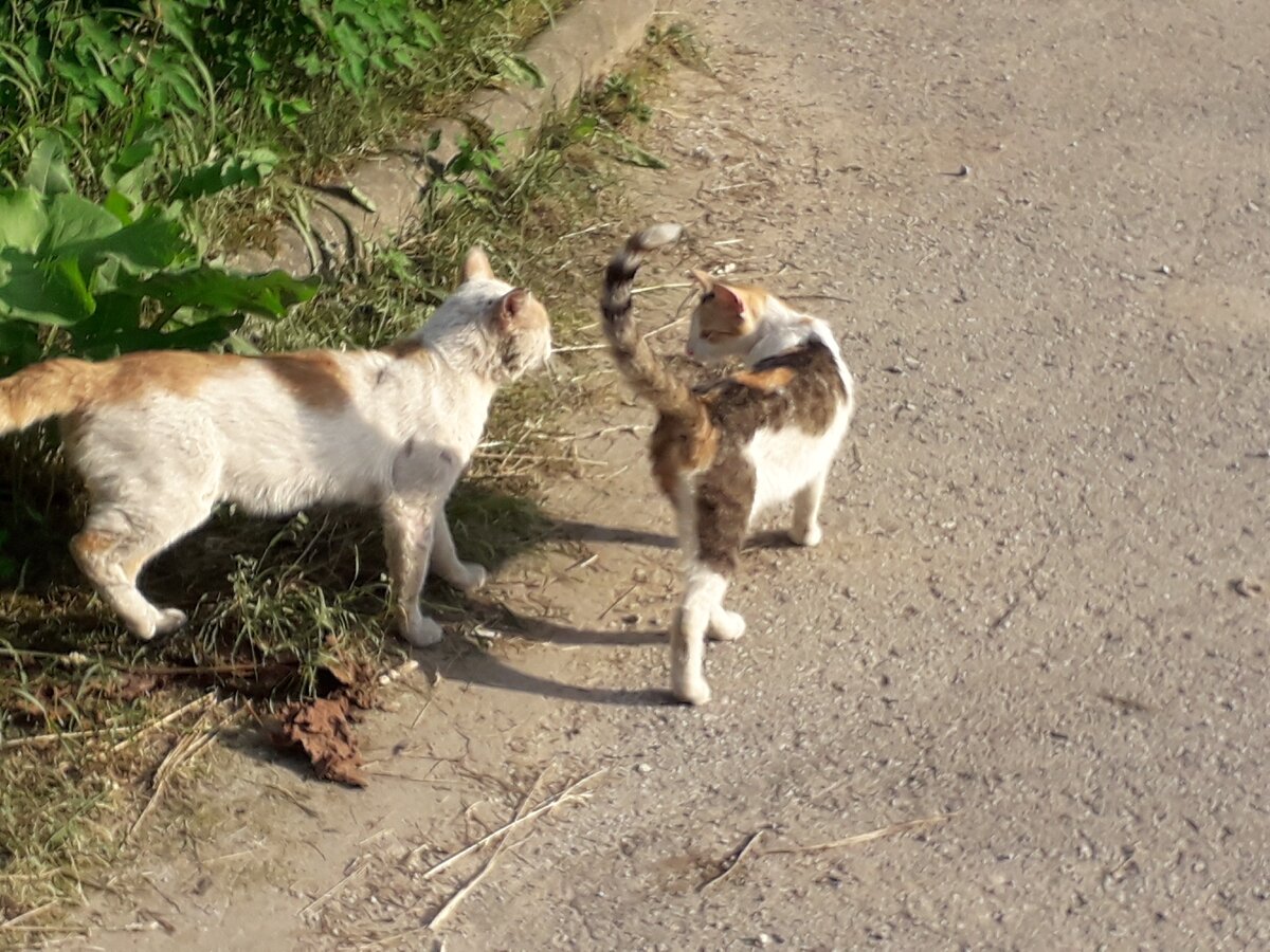 Фото автора истории. 