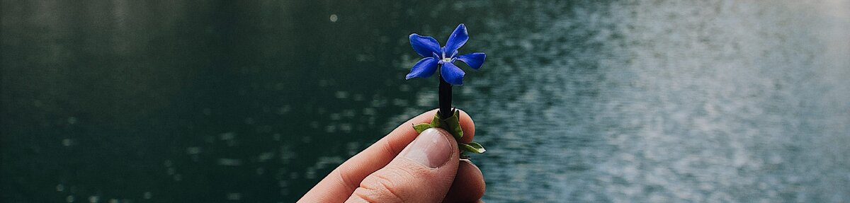 фото: unsplash 