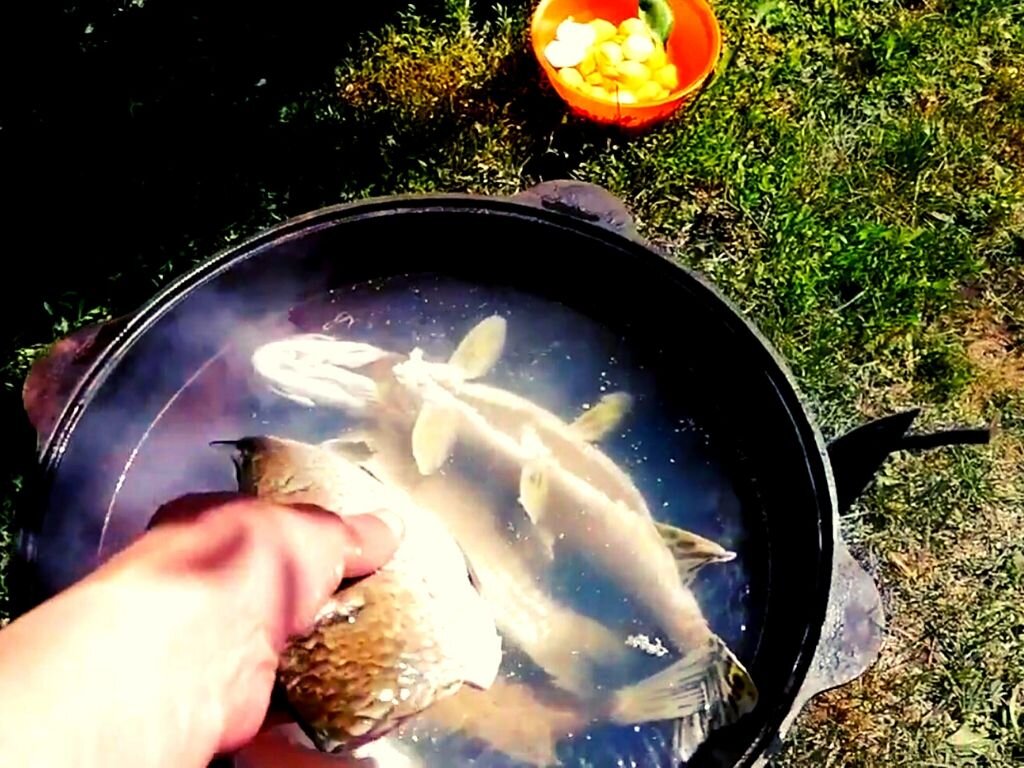 Затем выпускаем карасей.