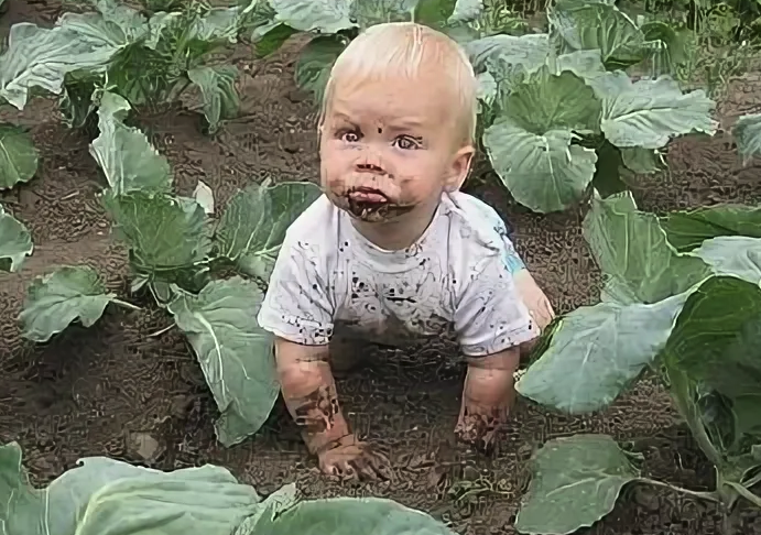 Изображение взято из открытых источников