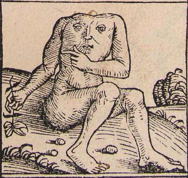 Блеммий. Ксилография Хартмана Шеделя : Нюрнбергская хроника, 1493,