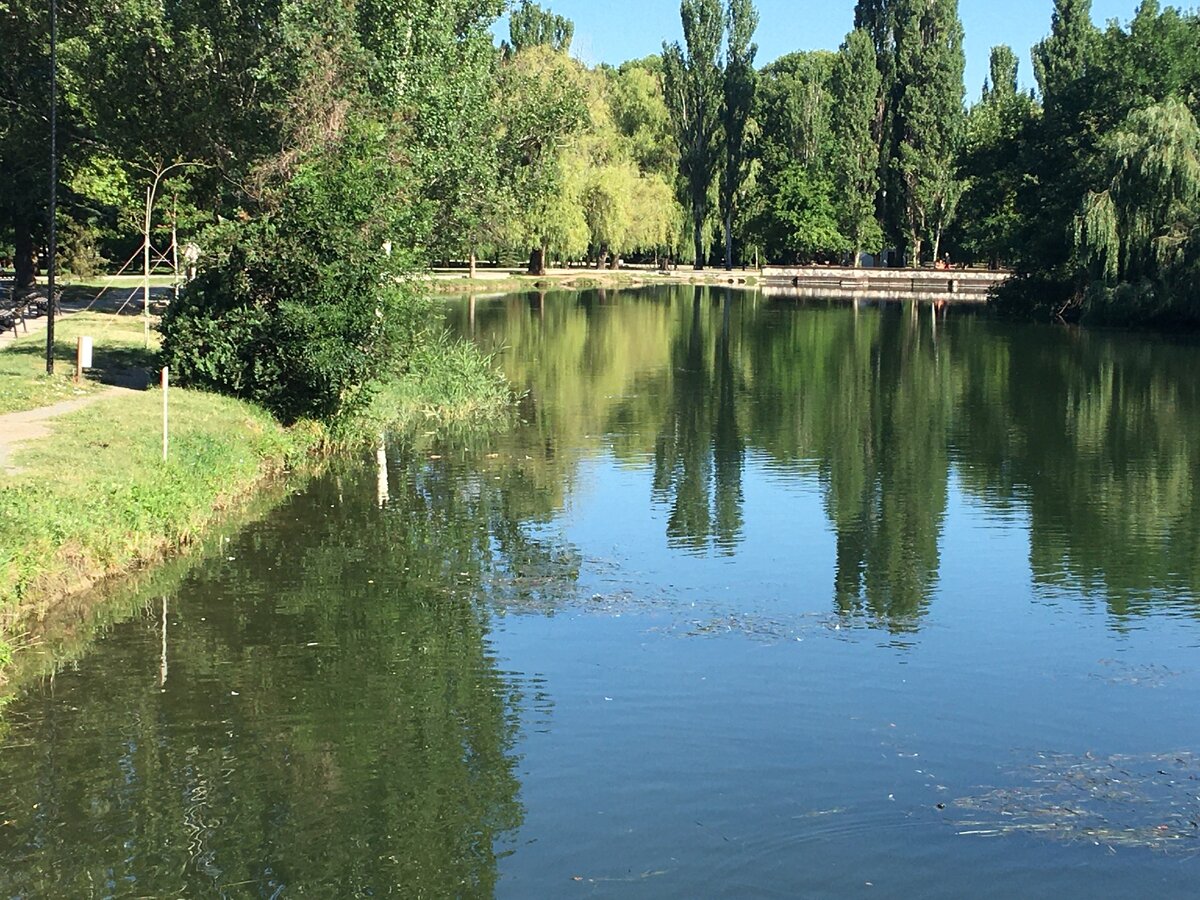 Утро в Гагаринском парке