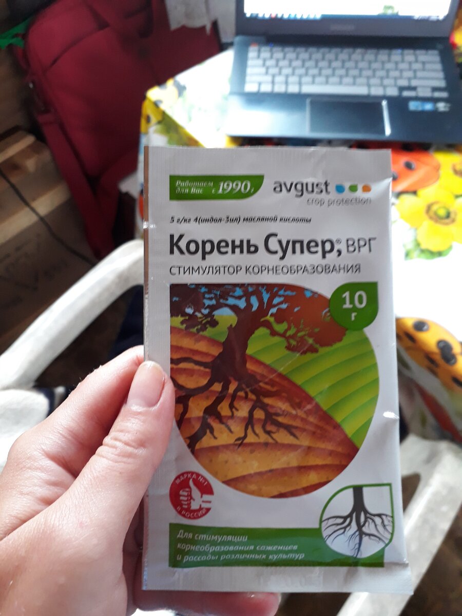 Корень Супер. Стимулятор крнеобразования