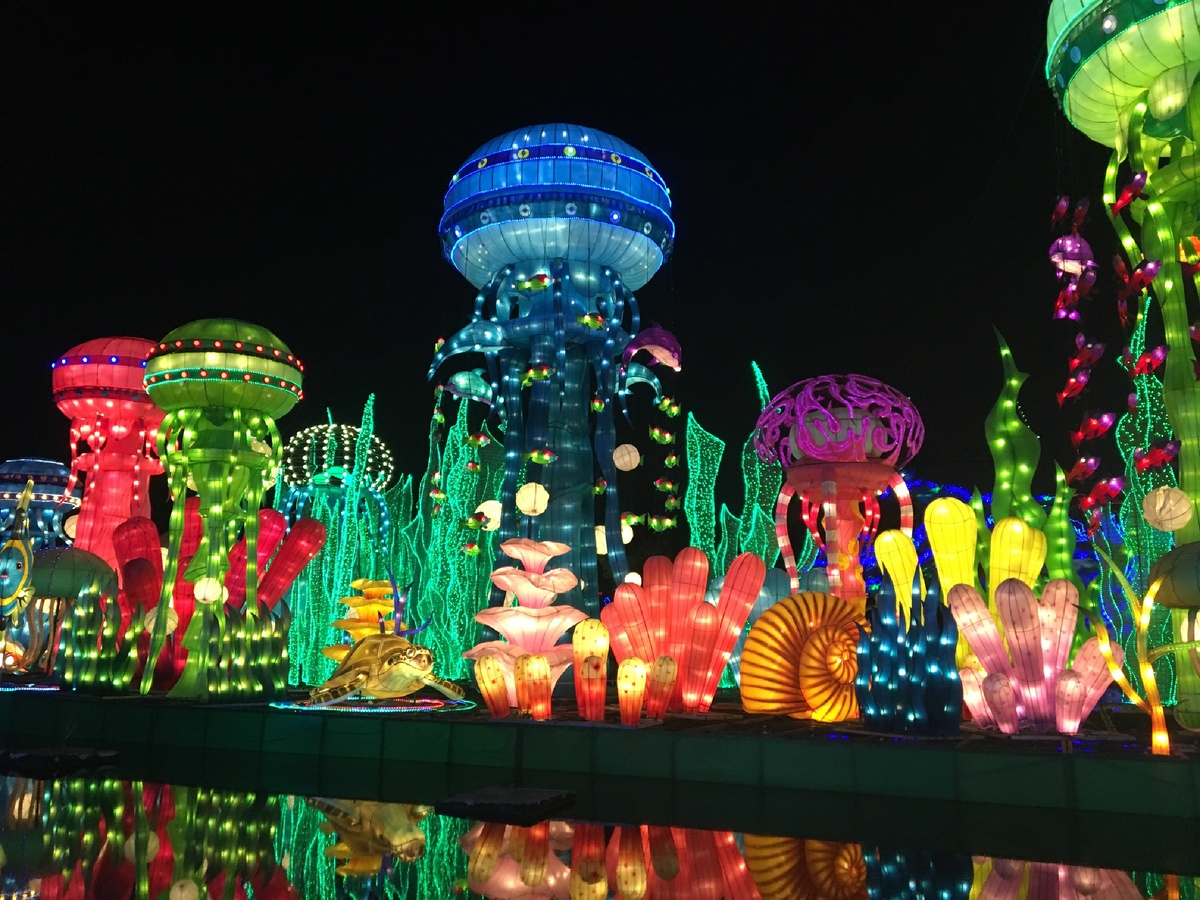 Парк Garden Glow, работает в зимний период с октября по апрель, так же готовится к сезону 2020-2021