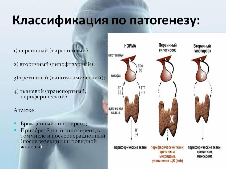 Поиск по архиву, по ключевым словам