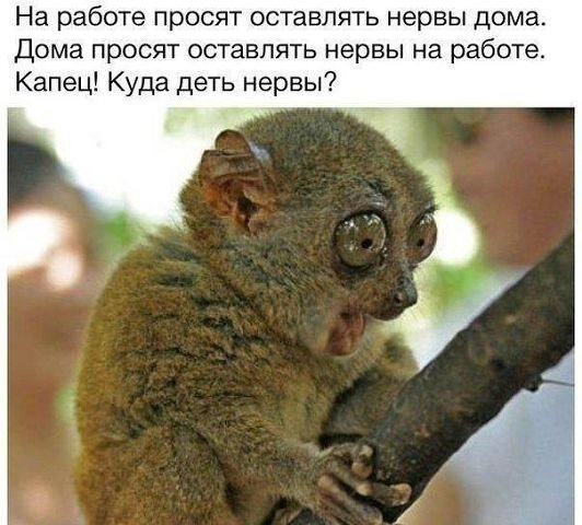 Какая пенсия! Такие и глаза!