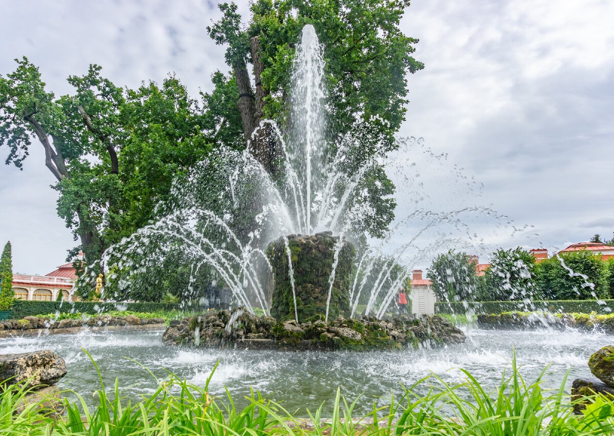 фонтан дубовый в петергофе. петергоф наукоград. фонтан старейшина в петергофе 4 буквы. санкт-петербург петергоф фонтаны шутихи. фонтан старейшина в петергофе 4 буквы.