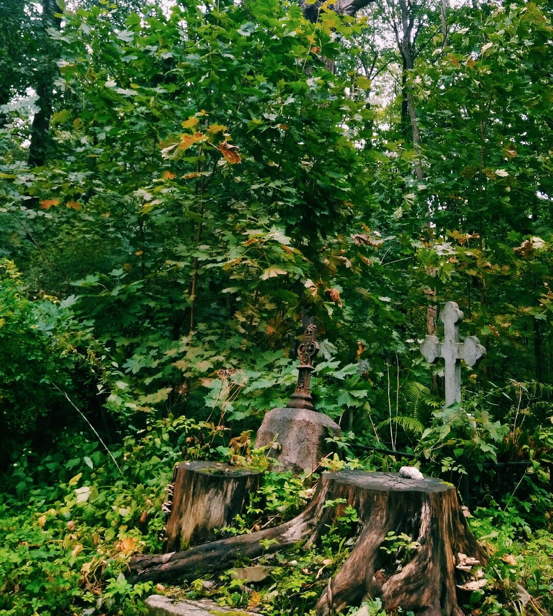 Природа и время