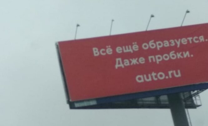 Фото автора. Сделано в Подмосковье конце весны