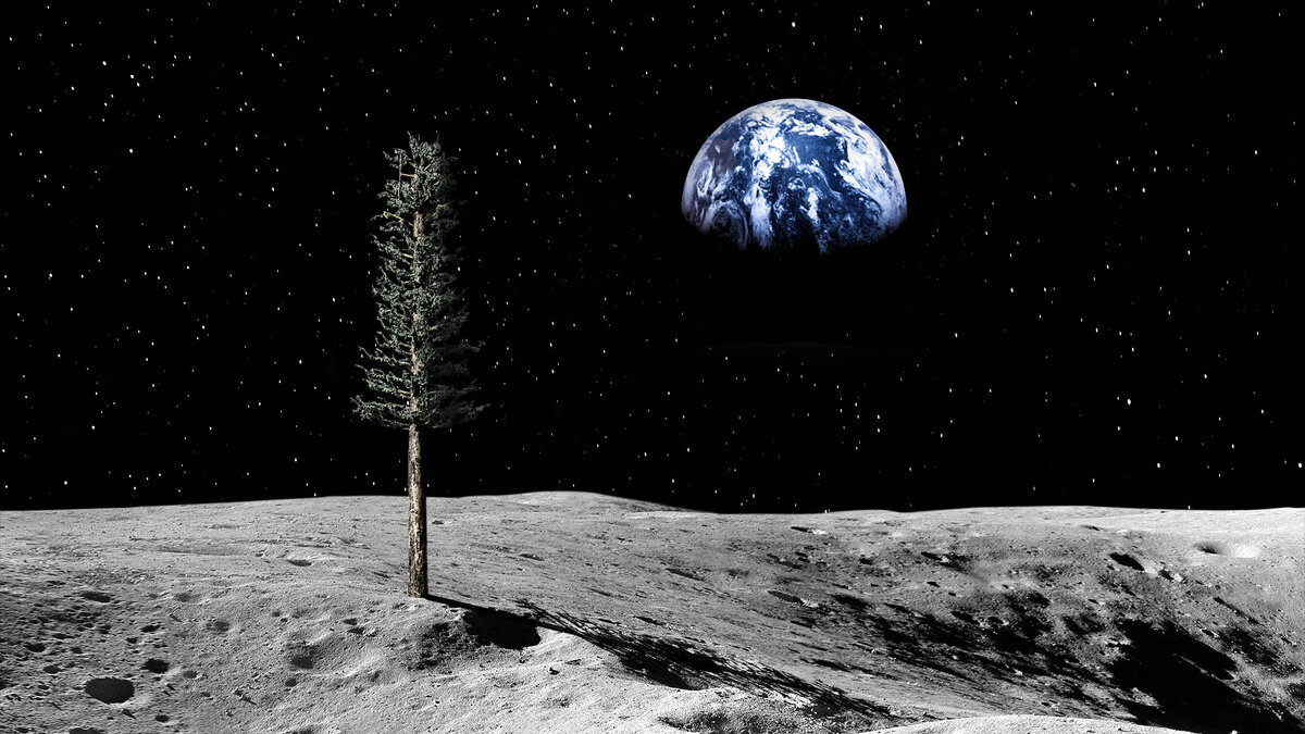 3 лунные башни. Башня до Луны. Tower on Moon. Moon Tower