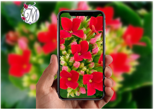 Ставьте лайки и подписывайтесь на мой канал