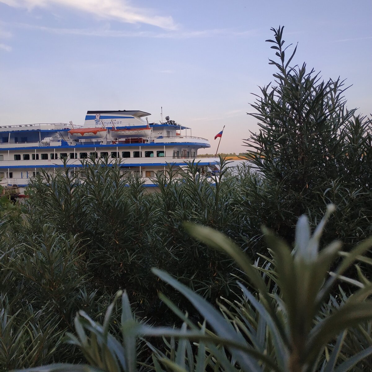 фото автора 