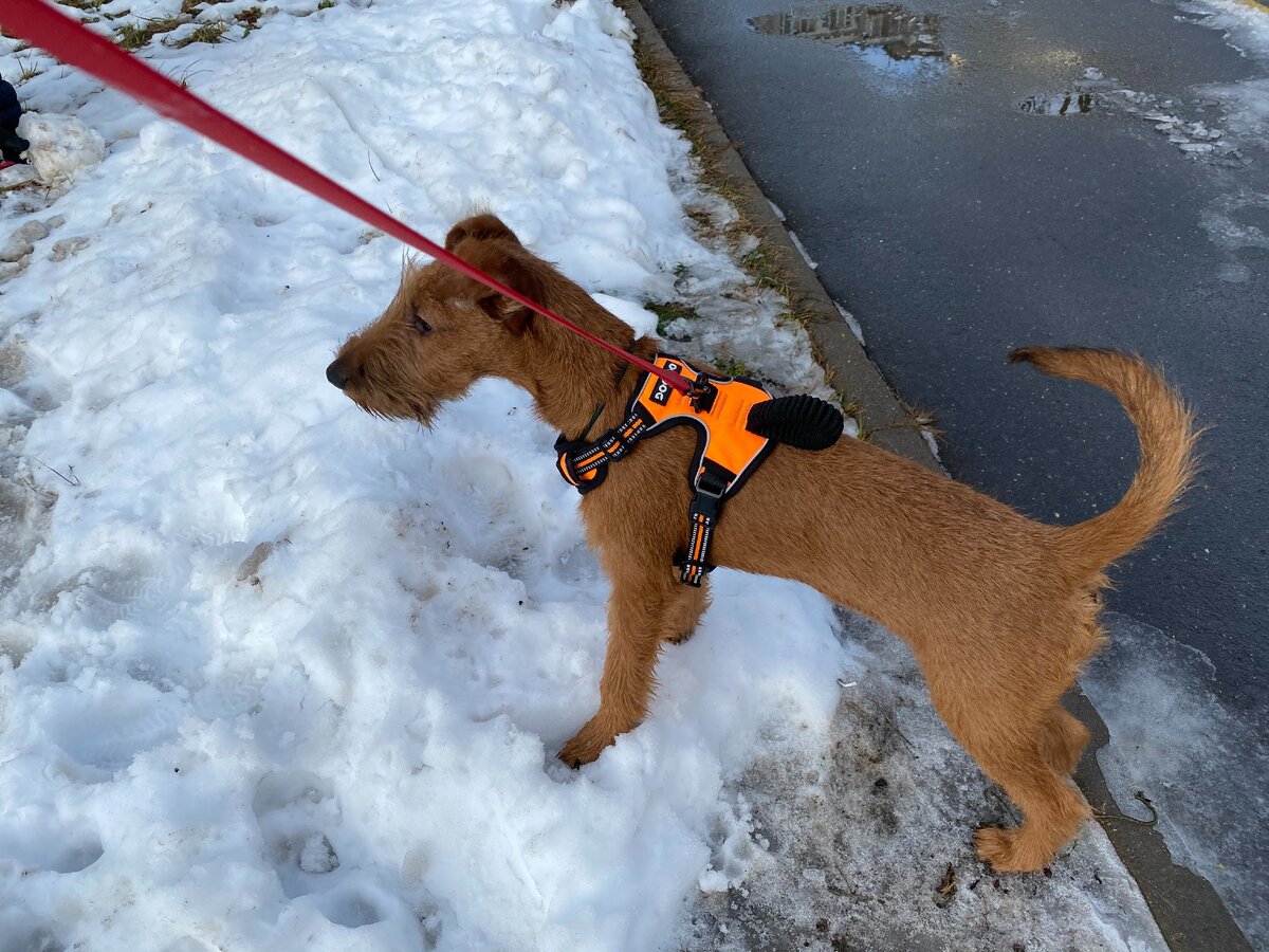 фото автора канала