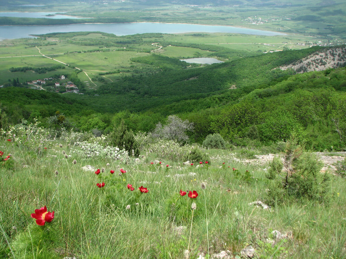 Байдарская Долина