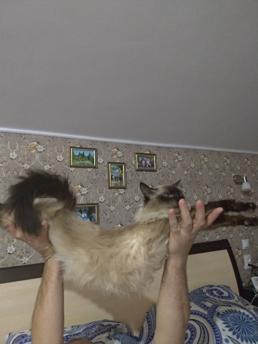 любимое упражнение на растяжку.