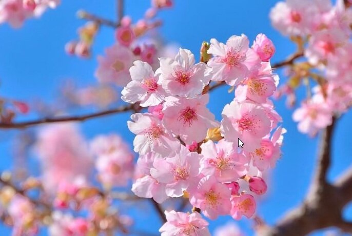 Фото из интернета.