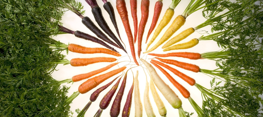 Темное прошлое фруктов и овощей: какими они были до селекции