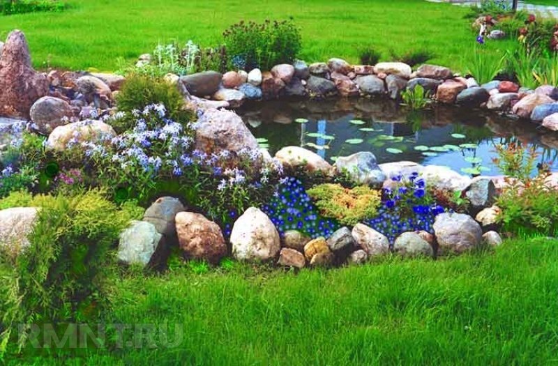 Как сделать пруд своими руками? Удивительные садовые водоемы! ФОТО