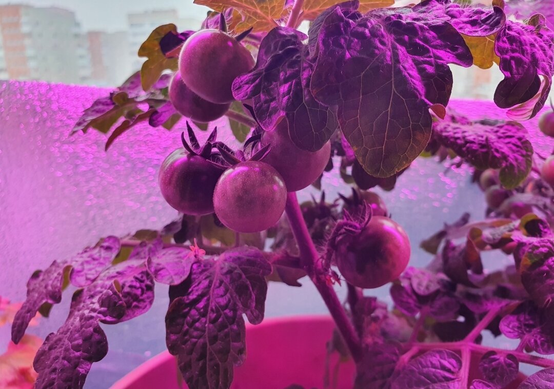 С другого ракурса