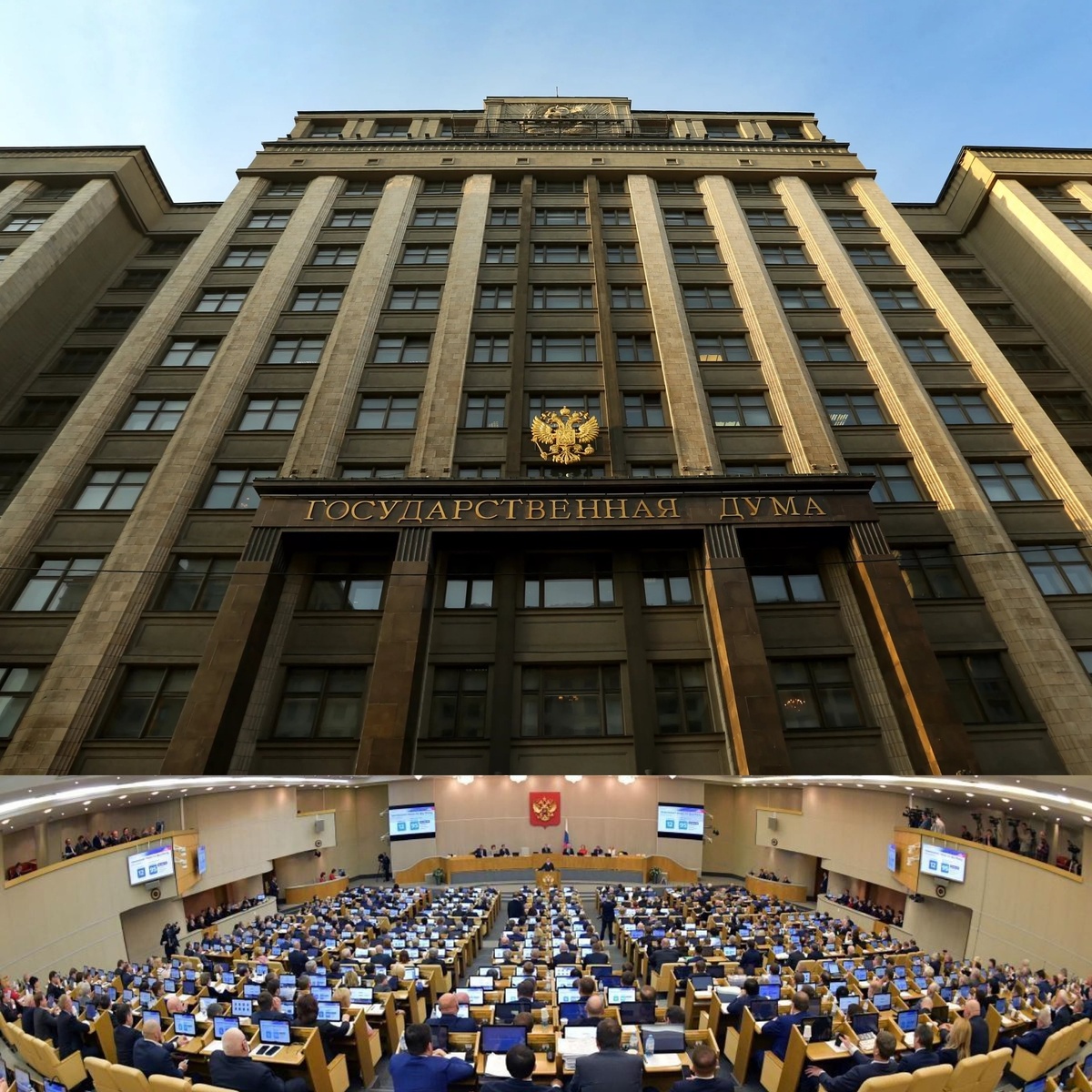 Государственная Дума России. 