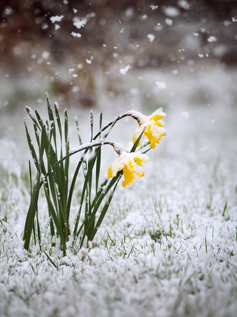 Картинка взята из открытых источников