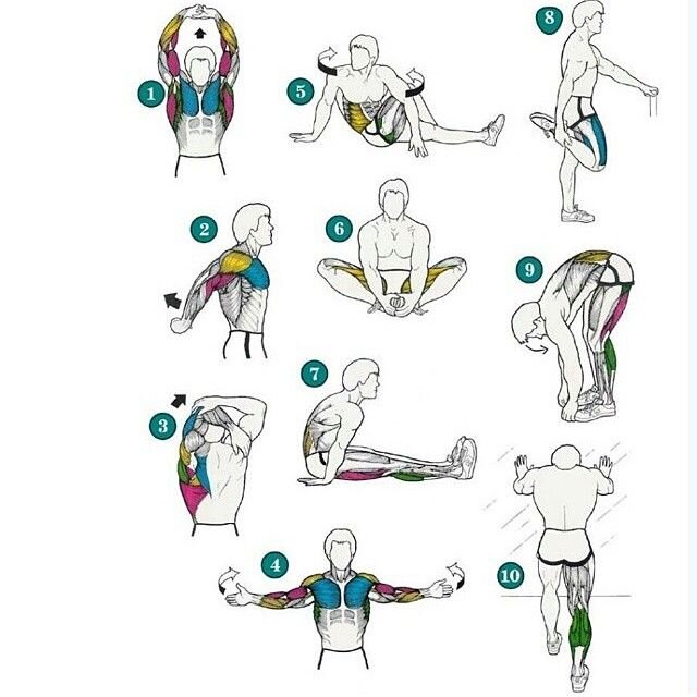 Перечень упражнений которые вы можете использовать в своих тренировках.