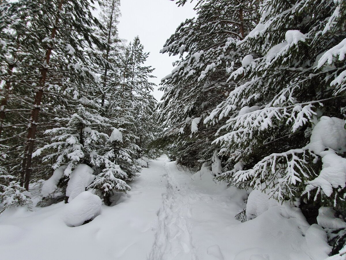 Живописная экотропа