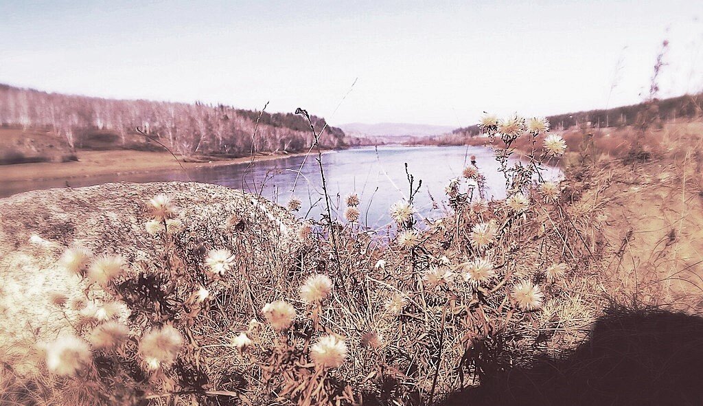 Дарасун: Карымский район, Забайкальский край. 12 октября 2018 г. Автор: Семилио777. Фото с сайта: commons.wikimedia.org/wiki/File:OYP7r_osKjM.jpg. Лицензия CC BY-SA 4.0