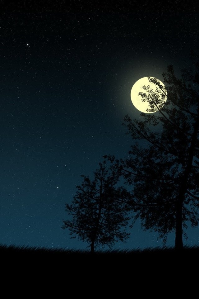 Фото взято из Яндекс-картинки