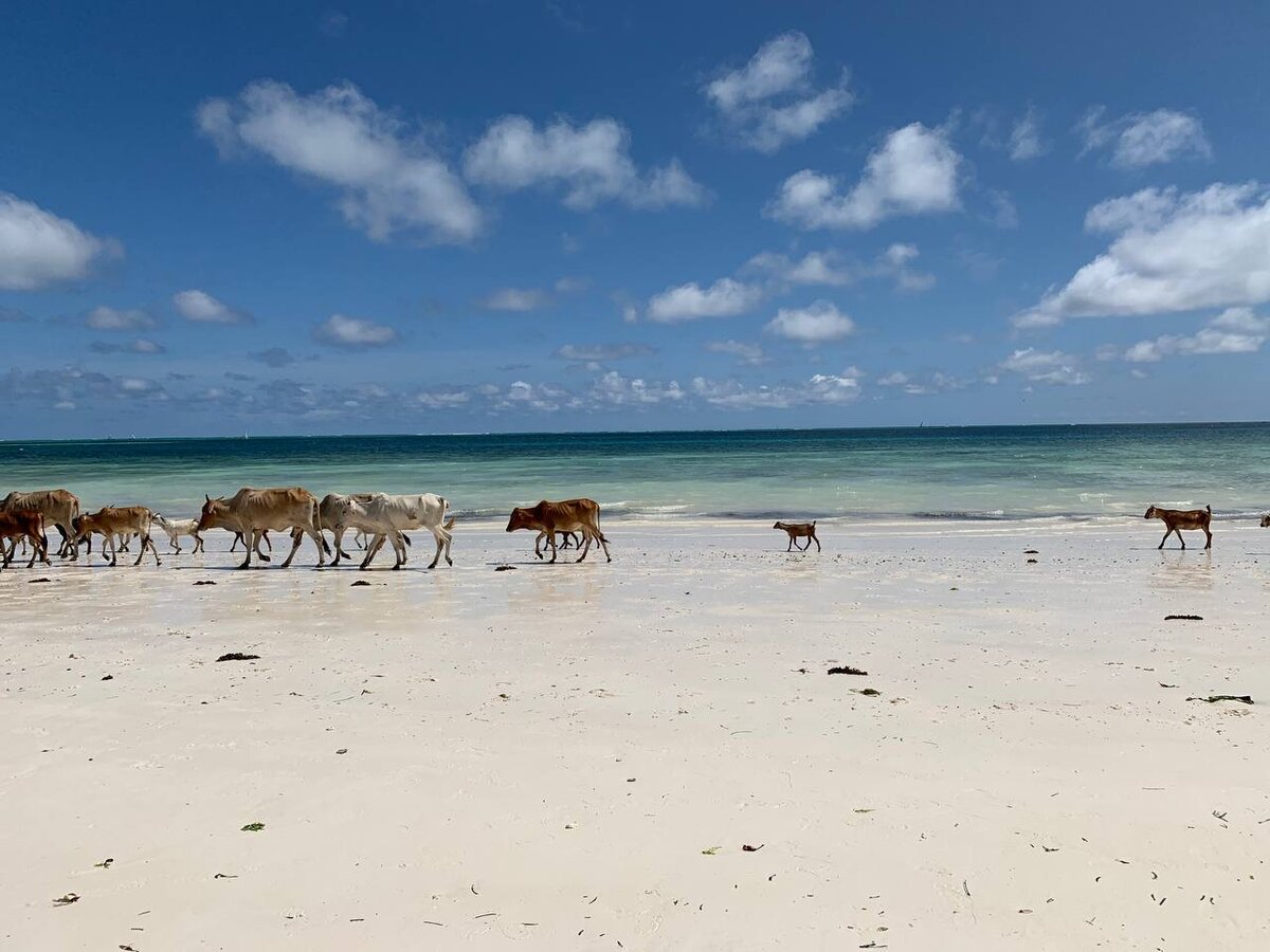 Время отлива